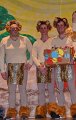 Alverdissen Karneval 2020  (183)